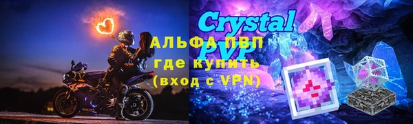 PSILOCYBIN Балахна