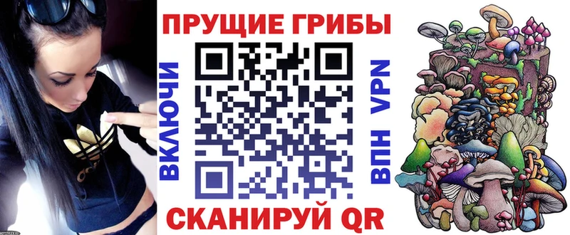 Псилоцибиновые грибы Psilocybe  Волгореченск 